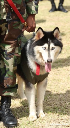 Seguridad, estabilidad, tranquilidad y paz para trabajar, producir y mejorar la economía