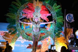 Desfile de Traje de Fantasía en Carnaval Alegría por la Vida