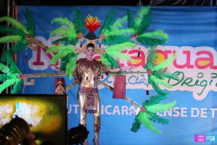Desfile de Traje de Fantasía en Carnaval Alegría por la Vida