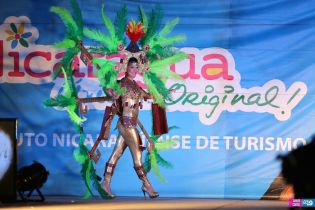 Desfile de Traje de Fantasía en Carnaval Alegría por la Vida