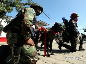 IV Ejercicio de Preparación para Protección de la vida