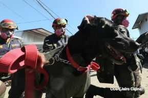 IV Ejercicio de Preparación para Protección de la vida