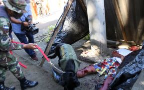 IV Ejercicio de Preparación para Protección de la vida