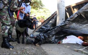 IV Ejercicio de Preparación para Protección de la vida