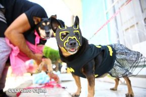 Familias de Masaya celebran la tradicional fiesta de San Lázaro