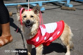 Familias de Masaya celebran la tradicional fiesta de San Lázaro
