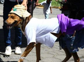 Familias de Masaya celebran la tradicional fiesta de San Lázaro
