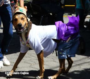 Familias de Masaya celebran la tradicional fiesta de San Lázaro