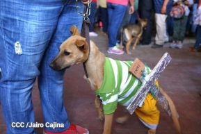 Familias de Masaya celebran la tradicional fiesta de San Lázaro