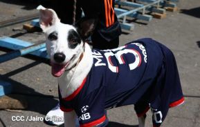 Familias de Masaya celebran la tradicional fiesta de San Lázaro