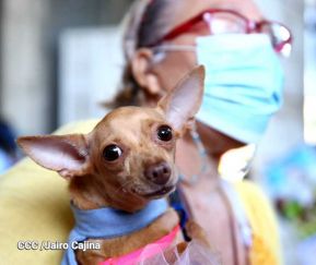 Familias de Masaya celebran la tradicional fiesta de San Lázaro