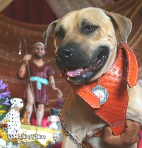 Familias de Masaya celebran la tradicional fiesta de San Lázaro