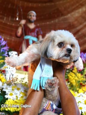 Familias de Masaya celebran la tradicional fiesta de San Lázaro