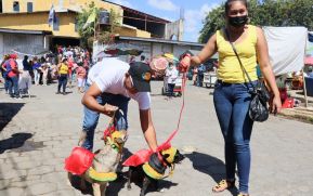 Familias de Masaya celebran la tradicional fiesta de San Lázaro