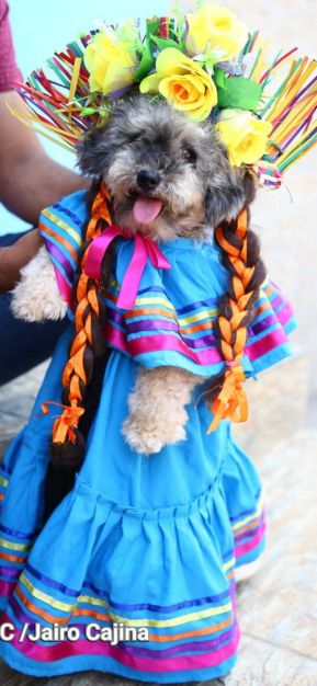 Familias de Masaya celebran la tradicional fiesta de San Lázaro