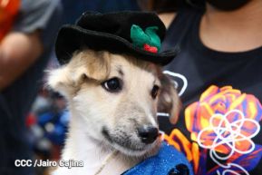 Familias de Masaya celebran la tradicional fiesta de San Lázaro