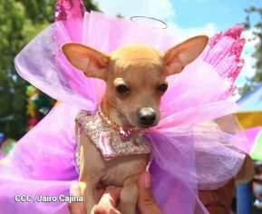 Familias de Masaya celebran la tradicional fiesta de San Lázaro