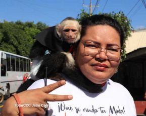 Caminata en homenaje a los héroes y mártires del Repliegue Táctico