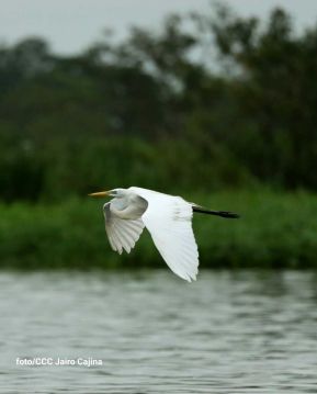 Ruta Granada-Altagracia-San Carlos, conexión que fortalece el comercio y turismo