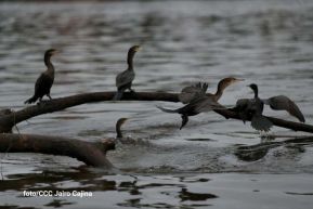 Ruta Granada-Altagracia-San Carlos, conexión que fortalece el comercio y turismo