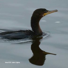 Ruta Granada-Altagracia-San Carlos, conexión que fortalece el comercio y turismo