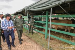 Inauguración de la Exposición Estática del Ejército de Nicaragua