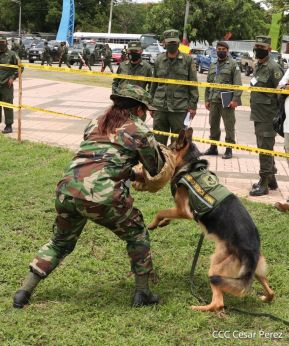Inauguración de la Exposición Estática del Ejército de Nicaragua