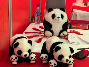 Celebran Festival Internacional de las Artes, Cultura y Gastronomía de Nuestros Pueblos