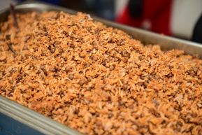 Celebran Festival Internacional de las Artes, Cultura y Gastronomía de Nuestros Pueblos