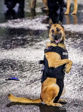 Desfile Policial "En Fuerzas de Victorias" desde la Avenida de Bolívar a Chávez