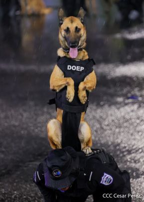 Desfile Policial "En Fuerzas de Victorias" desde la Avenida de Bolívar a Chávez