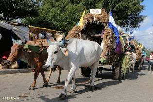 Carretas peregrinas llegan a Popoyuapa en un ambiente de fe y devoción