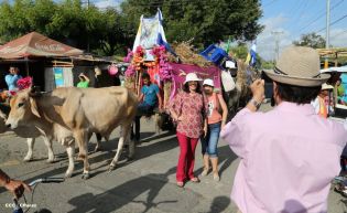 Carretas peregrinas llegan a Popoyuapa en un ambiente de fe y devoción