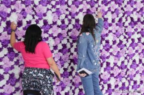 Nicaragua Diseña 2022: Florece la Creatividad y el Diseño