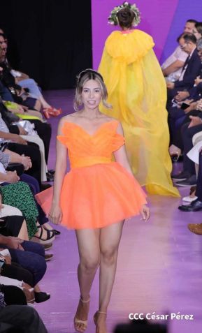 Nicaragua Diseña 2022: Florece la Creatividad y el Diseño