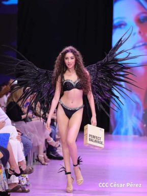 Nicaragua Diseña 2022: Florece la Creatividad y el Diseño