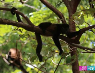 Isla de Ometepe, un oasis de paz para disfrutar las vacaciones de Semana Santa