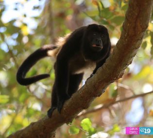 Isla de Ometepe, un oasis de paz para disfrutar las vacaciones de Semana Santa