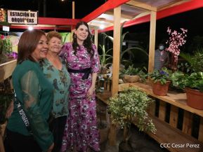 EsArte 2022: Naturaleza, Arte y Moda