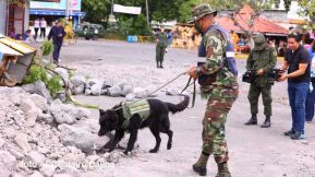 Cuarto Ejercicio Nacional de Preparación Multiamenazas 2022