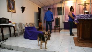 Mateare sufre afectaciones por terremoto 6.2