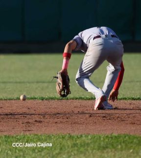 Campeones 2023: ¡Viva el Bóer Jodido!