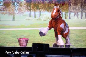 El Gallo Bartolito, La Vaca Lola y La Gallina Turuleca en Nicaragua