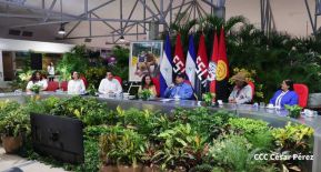 ¡Puño en Alto! ¡Libro Abierto!: 43 aniversario de la Gran Cruzada Nacional de Alfabetización