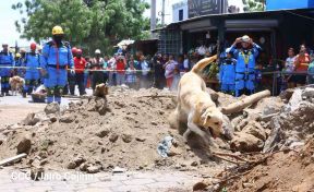 Pimer Ejercicio Nacional de Preparación y Protección de la Vida del 2023