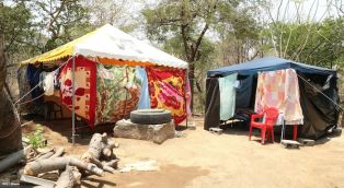 Afectados por sismos en Mateare reciben materiales para la construcción de viviendas