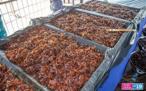 Nicaragua:  Amores de Verano 2023