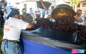 Nicaragua:  Amores de Verano 2023