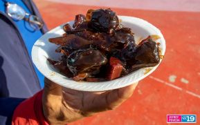 Nicaragua:  Amores de Verano 2023