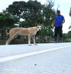 Carretera Rosita- Bonanza es una realidad